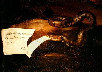 (dettaglio) di Sileno ubriaco, 1626